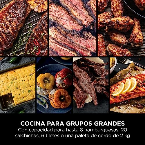 Ninja Woodfire OG701EU | Parrilla Eléctrica Exterior 7 en 1, Air Fry, Smoke, Roast, Bake, Antiadherente, Portátil, Gris/Negro