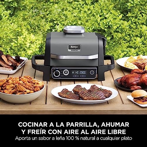 Ninja Woodfire OG701EU | Parrilla Eléctrica Exterior 7 en 1, Air Fry, Smoke, Roast, Bake, Antiadherente, Portátil, Gris/Negro