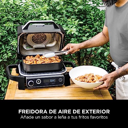 Ninja Woodfire OG701EU | Parrilla Eléctrica Exterior 7 en 1, Air Fry, Smoke, Roast, Bake, Antiadherente, Portátil, Gris/Negro