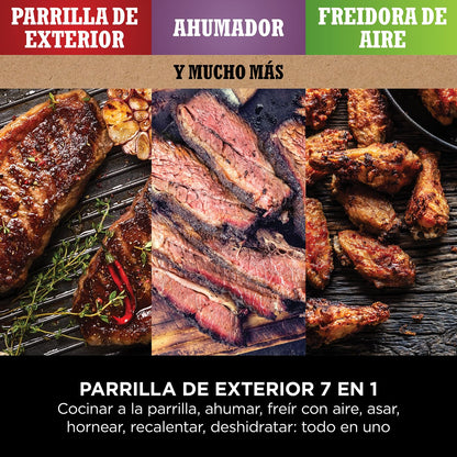 Ninja Woodfire OG701EU | Parrilla Eléctrica Exterior 7 en 1, Air Fry, Smoke, Roast, Bake, Antiadherente, Portátil, Gris/Negro